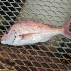 下関フィッシングパーク 釣果