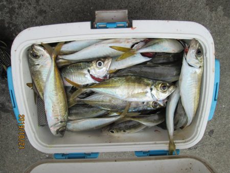 下関フィッシングパーク 釣果