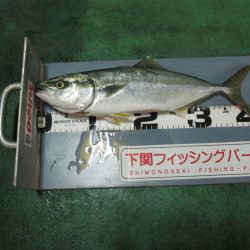 下関フィッシングパーク 釣果