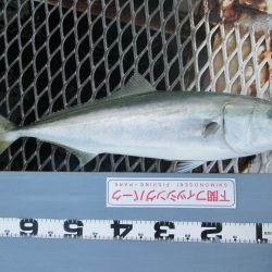 下関フィッシングパーク 釣果