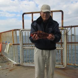 下関フィッシングパーク 釣果