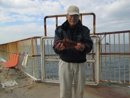 下関フィッシングパーク 釣果