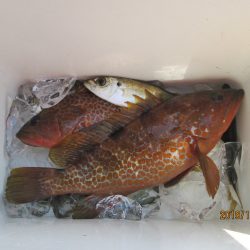 下関フィッシングパーク 釣果