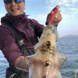 Magic(マジック) 釣果