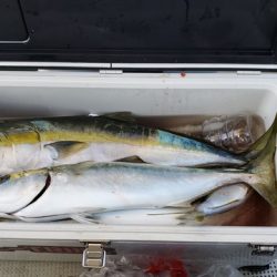 遊漁船 ニライカナイ 釣果