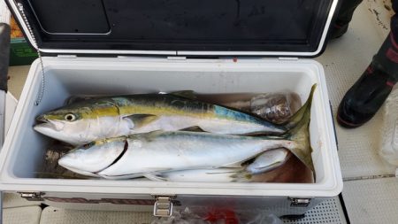 遊漁船 ニライカナイ 釣果