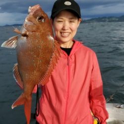 遊漁船 ニライカナイ 釣果