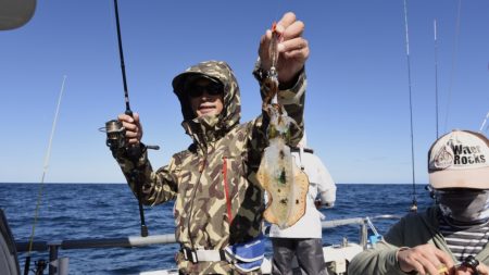 まるいち丸 ZERO-1 釣果