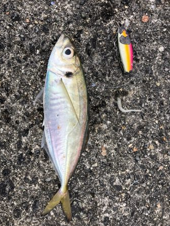 武庫一ワインド