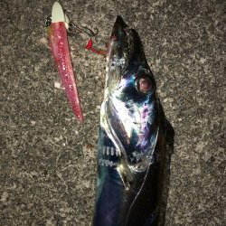 武庫一ワインド