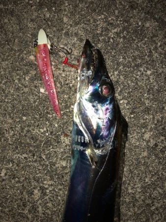 武庫一ワインド