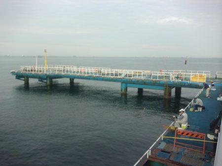 オリジナルメーカー海づり公園(市原市海づり施設) 釣果