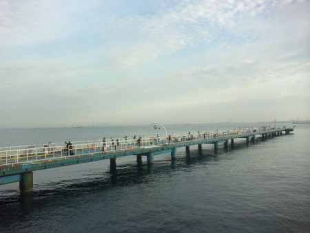 オリジナルメーカー海づり公園(市原市海づり施設) 釣果