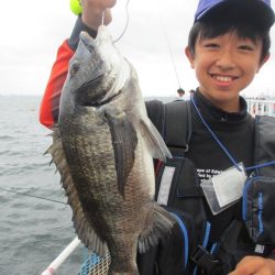 オリジナルメーカー海づり公園(市原市海づり施設) 釣果