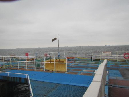 オリジナルメーカー海づり公園(市原市海づり施設) 釣果