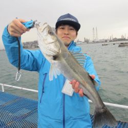 オリジナルメーカー海づり公園(市原市海づり施設) 釣果