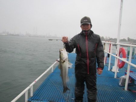 オリジナルメーカー海づり公園(市原市海づり施設) 釣果