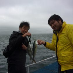 オリジナルメーカー海づり公園(市原市海づり施設) 釣果