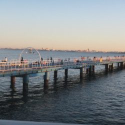 オリジナルメーカー海づり公園(市原市海づり施設) 釣果