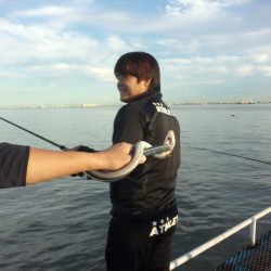 オリジナルメーカー海づり公園(市原市海づり施設) 釣果