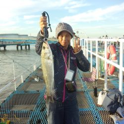 オリジナルメーカー海づり公園(市原市海づり施設) 釣果 | 千葉 オリジナルメーカー海釣公園・養老 その他ルアー釣り サッパ・ママカリ | 陸っぱり  釣り・魚釣り | 釣果情報サイト カンパリ