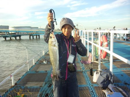 オリジナルメーカー海づり公園(市原市海づり…
