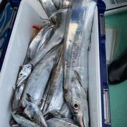 さんさん丸 釣果