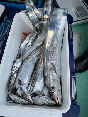さんさん丸 釣果
