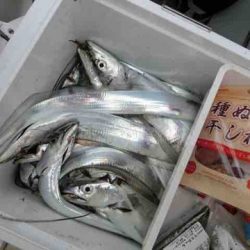 遊漁船 セトマリン 釣果