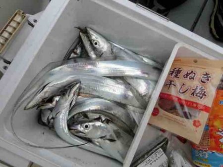 遊漁船 セトマリン 釣果