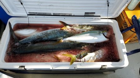 遊漁船 ニライカナイ 釣果