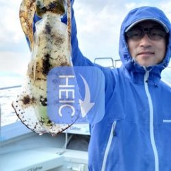 遊漁船 ニライカナイ 釣果