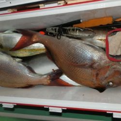 第二むつ漁丸 釣果