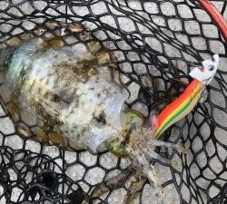 白墨丸 釣果