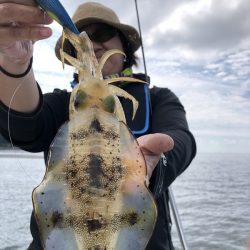 Magic(マジック) 釣果