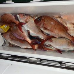 第二むつ漁丸 釣果