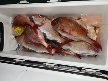 第二むつ漁丸 釣果