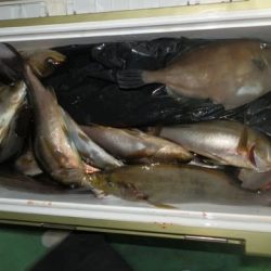 第二むつ漁丸 釣果