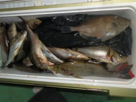 第二むつ漁丸 釣果