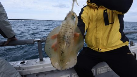 まるいち丸 ZERO-1 釣果
