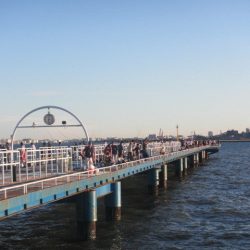 オリジナルメーカー海づり公園(市原市海づり施設) 釣果