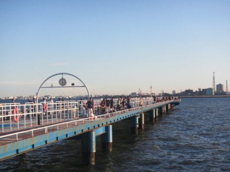 オリジナルメーカー海づり公園(市原市海づり施設) 釣果