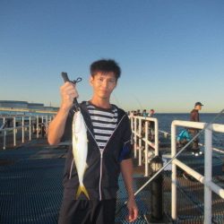 オリジナルメーカー海づり公園(市原市海づり施設) 釣果