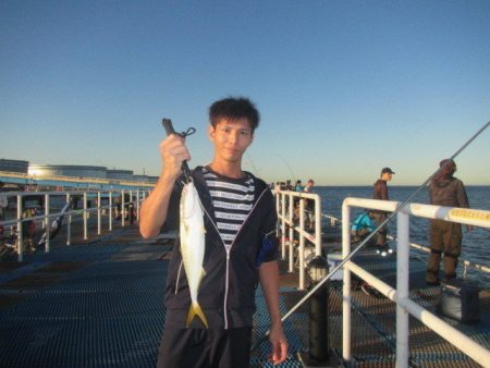 オリジナルメーカー海づり公園(市原市海づり施設) 釣果