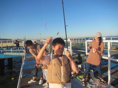 オリジナルメーカー海づり公園(市原市海づり施設) 釣果