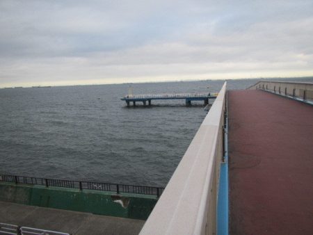 オリジナルメーカー海づり公園(市原市海づり施設) 釣果