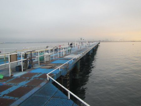 オリジナルメーカー海づり公園(市原市海づり…