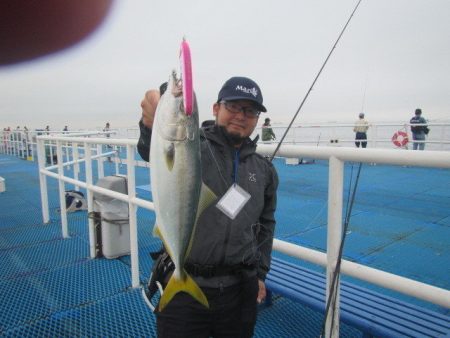 オリジナルメーカー海づり公園(市原市海づり施設) 釣果