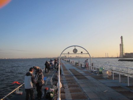 オリジナルメーカー海づり公園(市原市海づり施設) 釣果