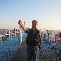 オリジナルメーカー海づり公園(市原市海づり施設) 釣果